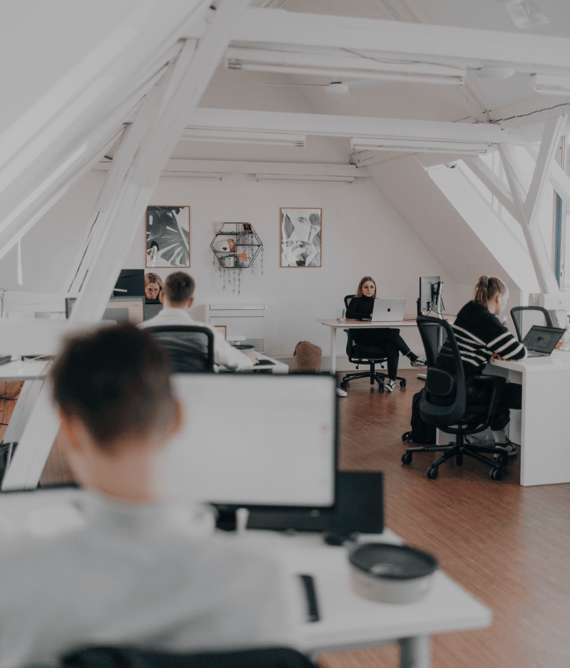 Mehrere Personen arbeiten konzentriert an ihren Schreibtischen
