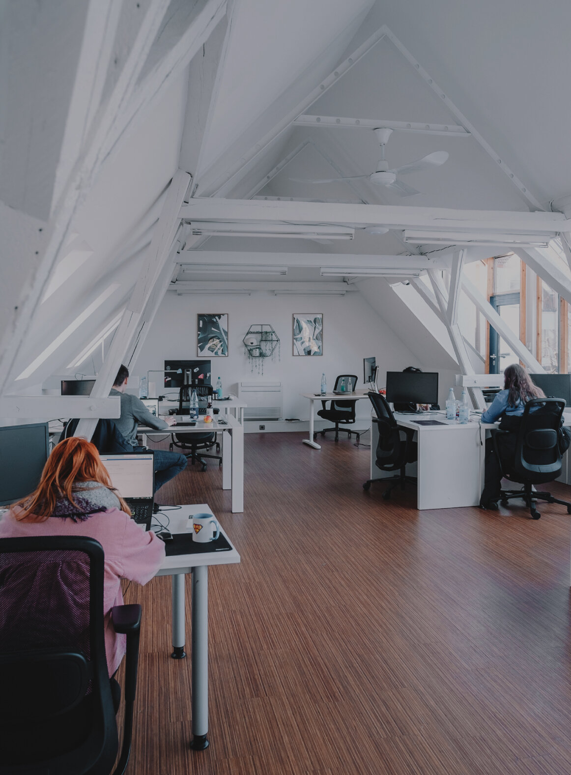 Person arbeitet konzentriert an einem Computer in einem hellen Büro, durch eine Glaswand mit Pflanzen im Vordergrund fotografiert